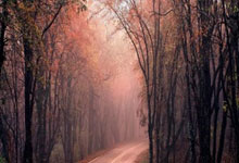 2024-2025全国滑雪定向挑战赛内蒙古鄂尔多斯站开赛2025-02-24.