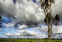 2025年足协杯：山东泰山队首战或将遭遇青岛红狮队.