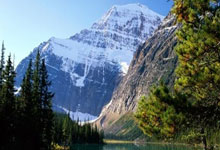 2023年全国跳水锦标赛落户武汉中国新闻网.